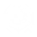 S1