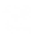 S2