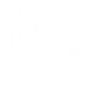S1