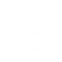 S1