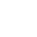 S1