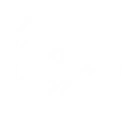 S1
